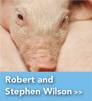 Robert and Stephen Wilson