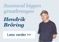 Hendrik Broring